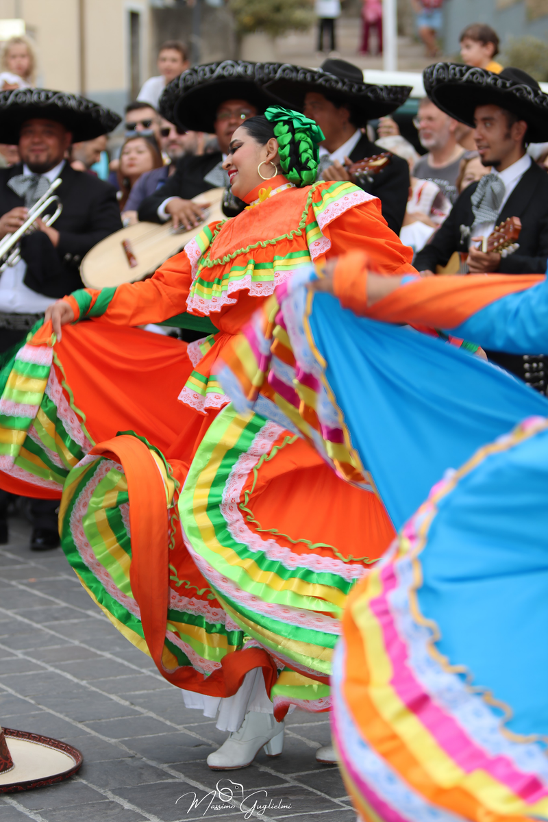 Coliri, musica, allegria