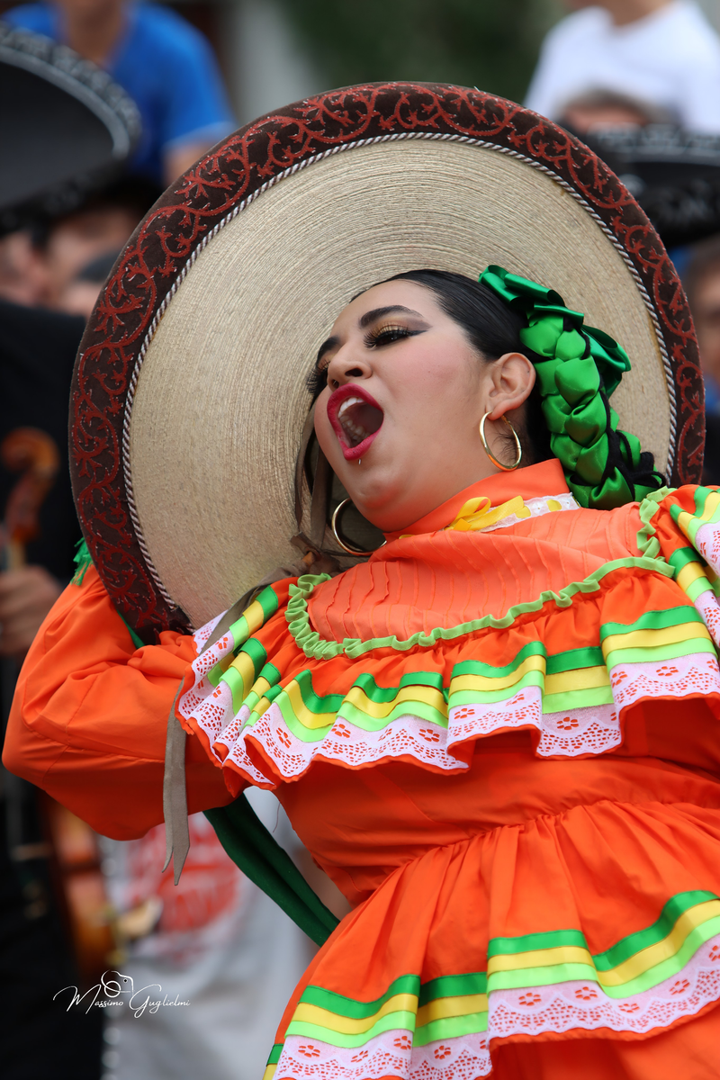 Coliri, musica, allegria