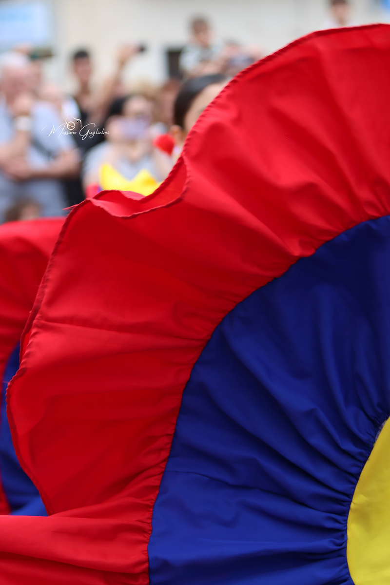 Coliri, musica, allegria