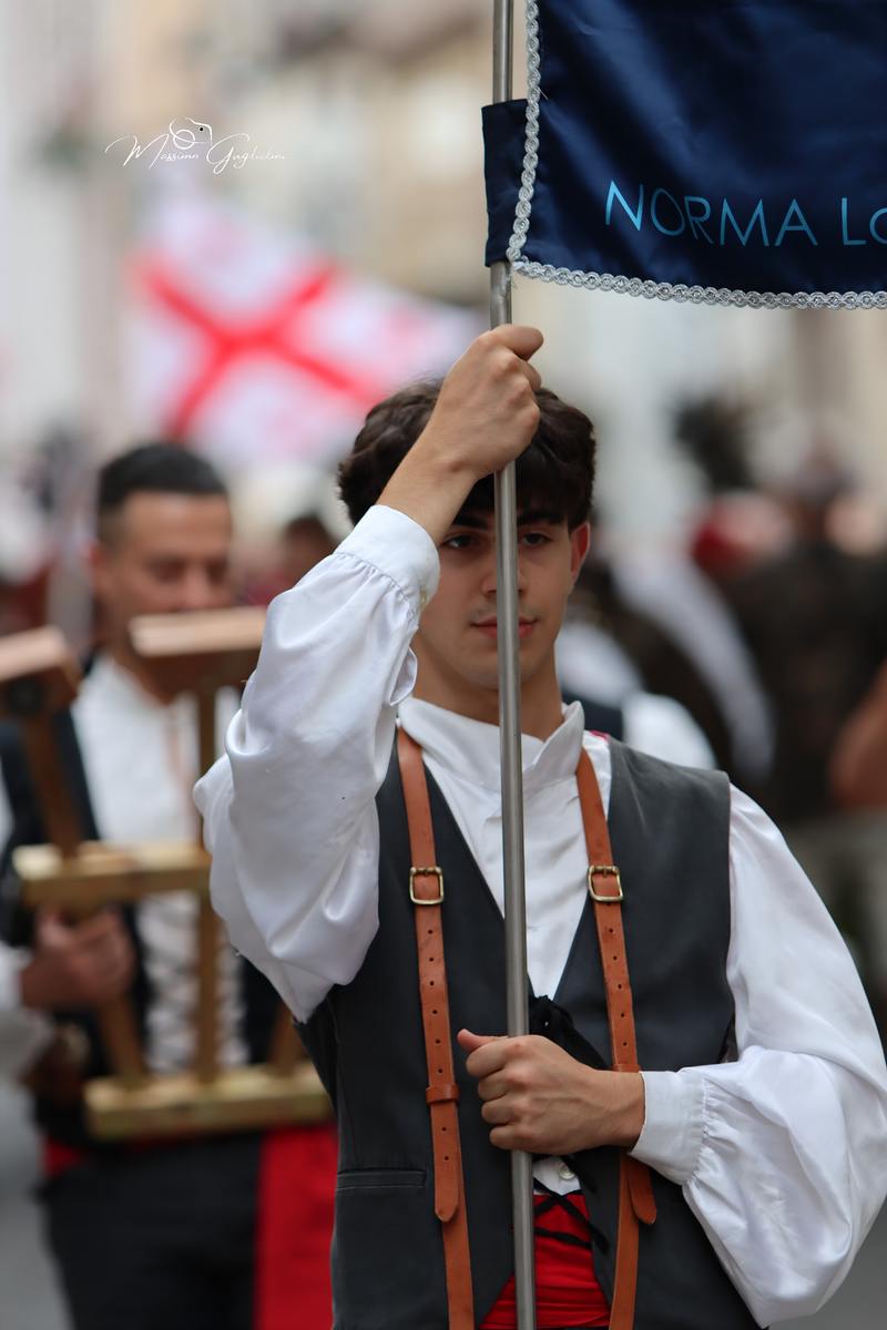 Coliri, musica, allegria