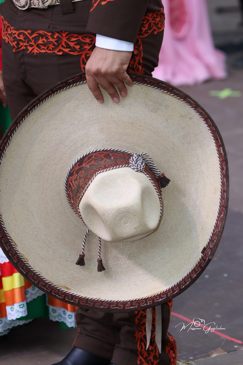 Coliri, musica, allegria