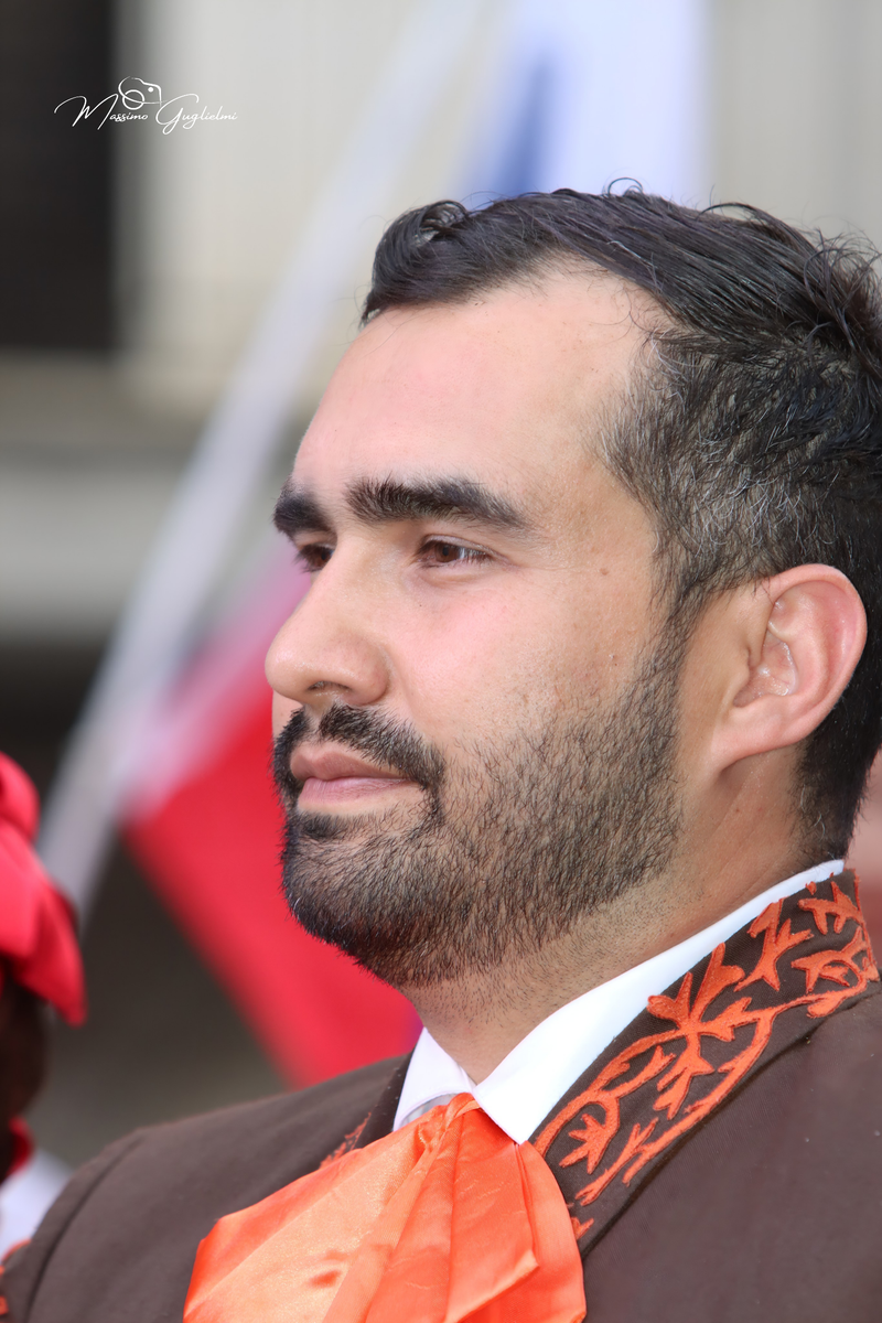 Coliri, musica, allegria