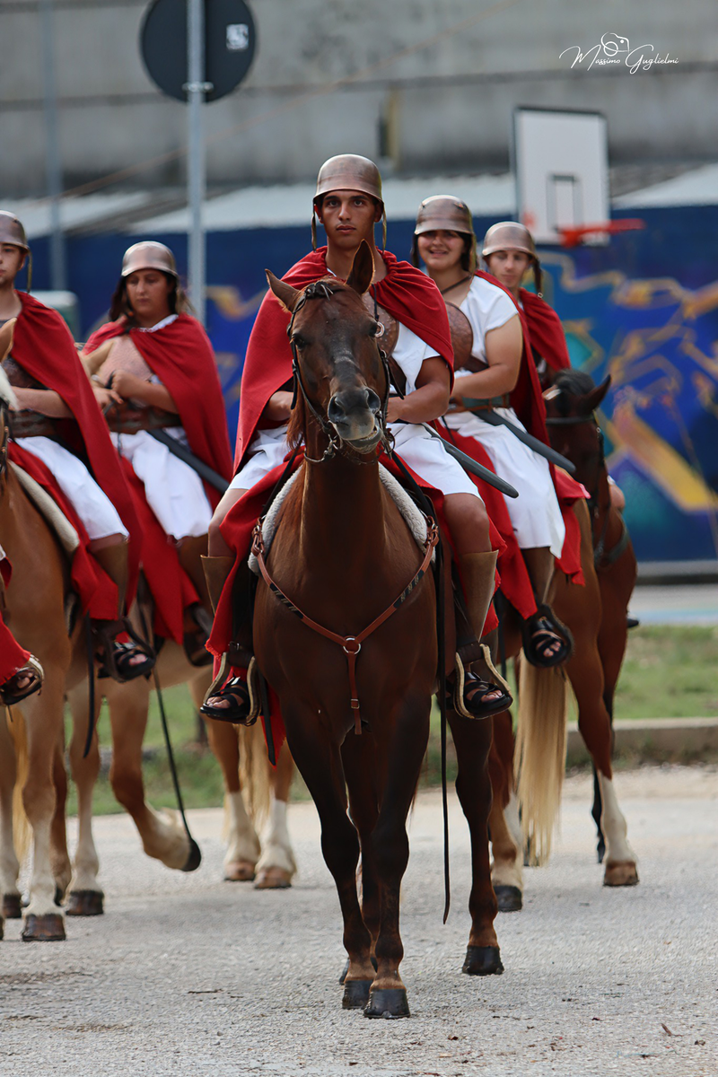 Un meraviglioso viaggio nell' epoca dei Sanniti