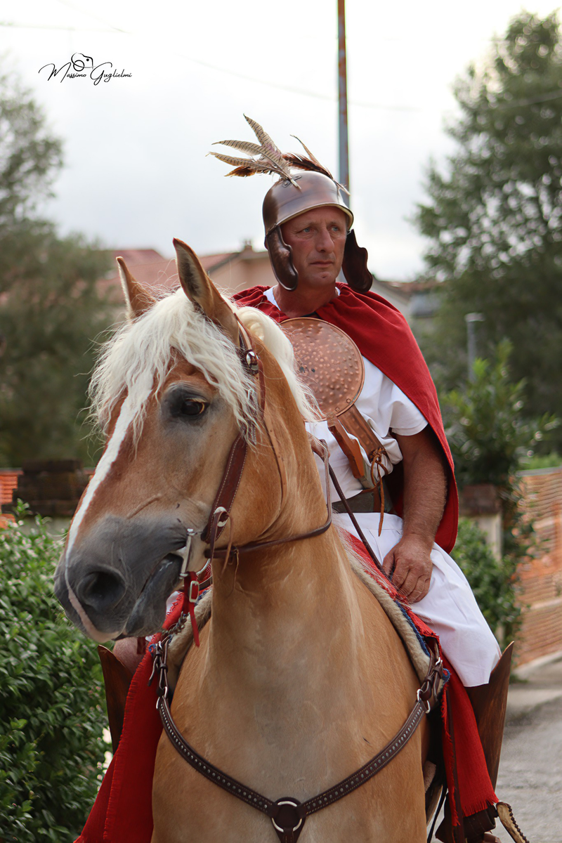 Un meraviglioso viaggio nell' epoca dei Sanniti