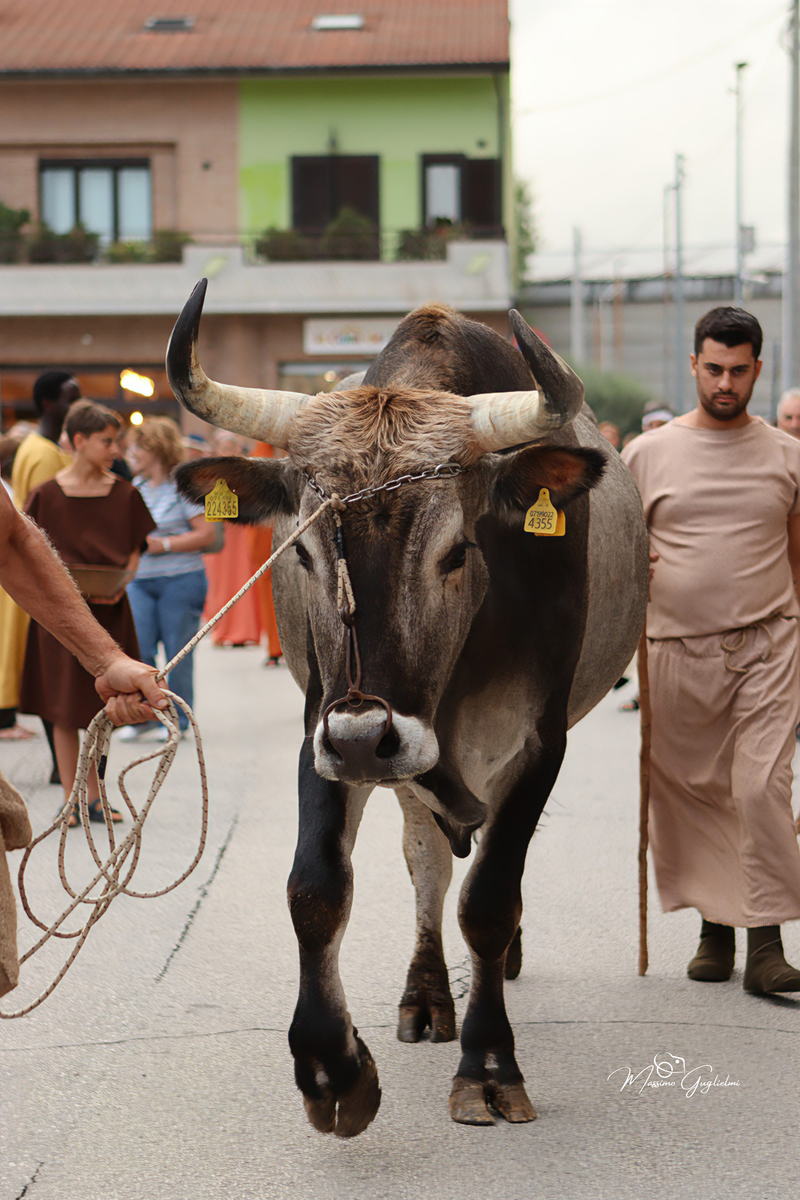 Un meraviglioso viaggio nell' epoca dei Sanniti
