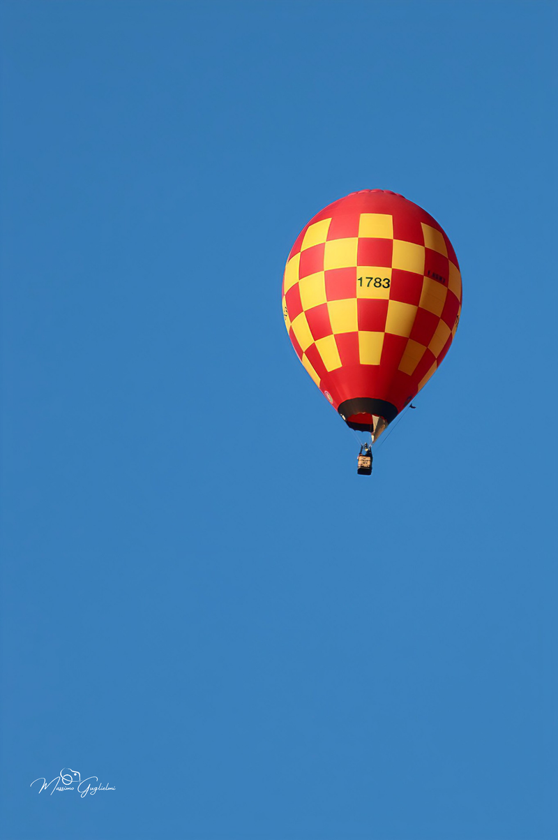 Il fascino del volo tra mille colori