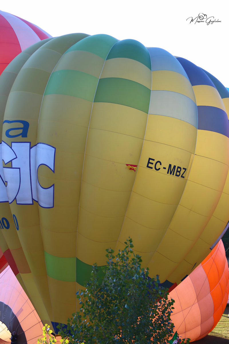 Il fascino del volo tra mille colori