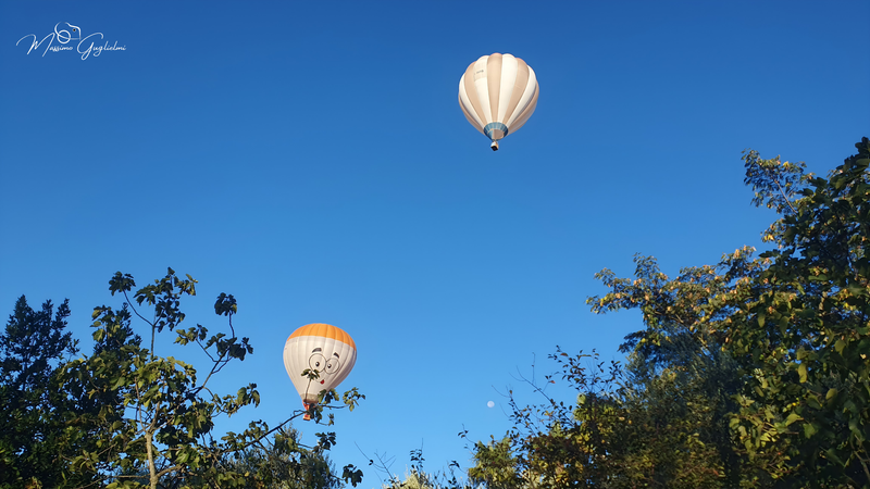 Il fascino del volo tra mille colori