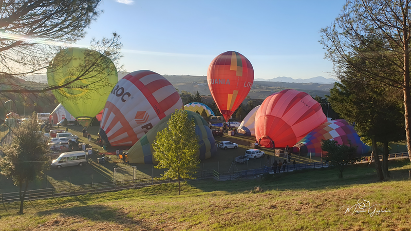 Il fascino del volo tra mille colori