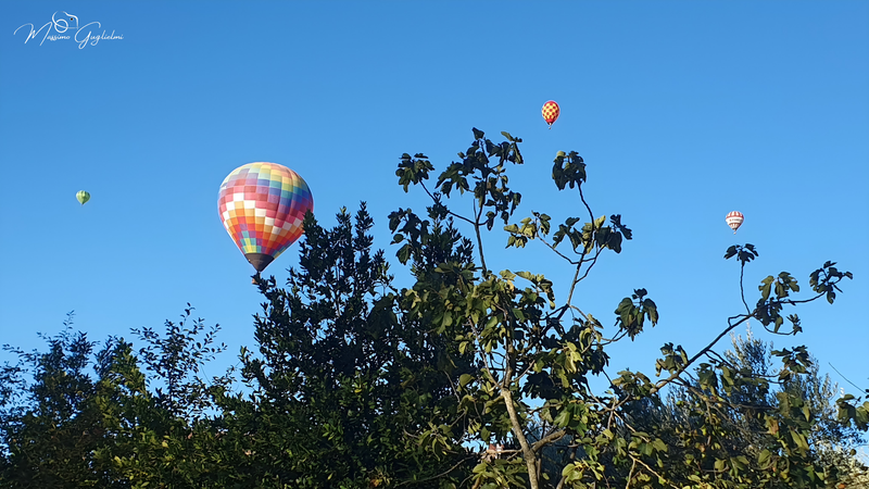 Il fascino del volo tra mille colori