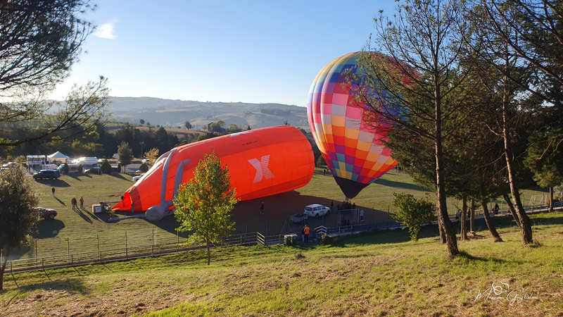 Il fascino del volo tra mille colori