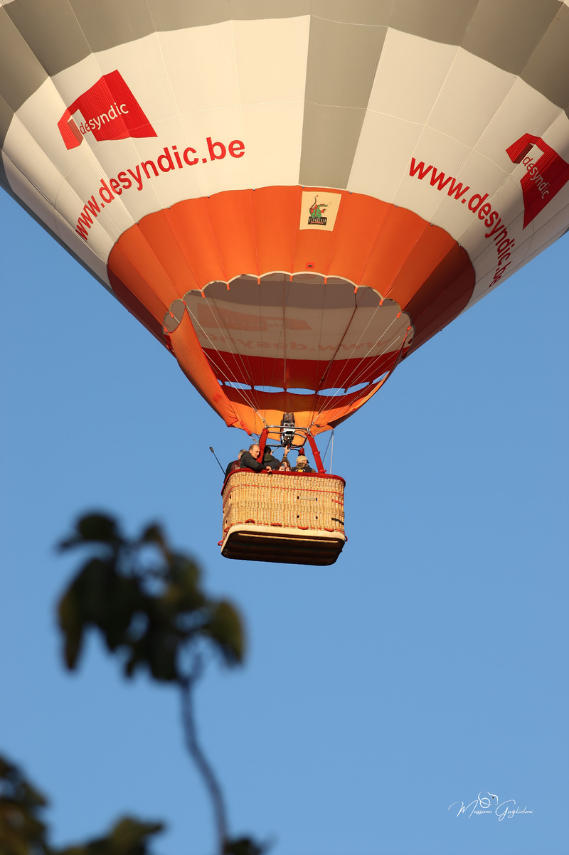 Il fascino del volo tra mille colori