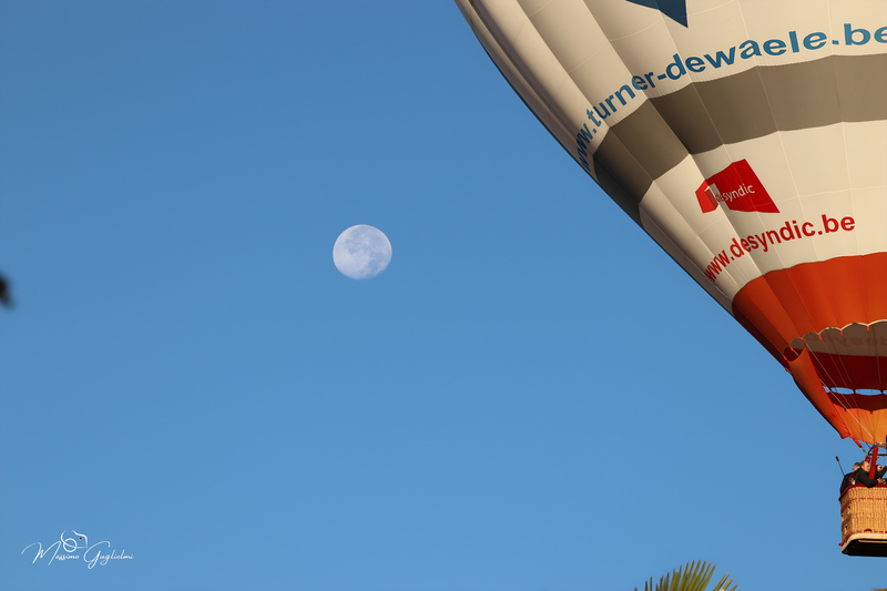 Il fascino del volo tra mille colori