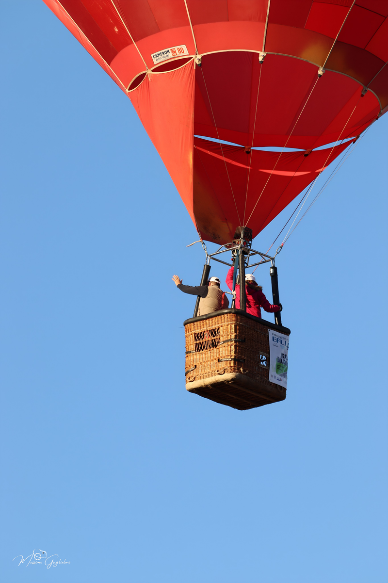 Il fascino del volo tra mille colori