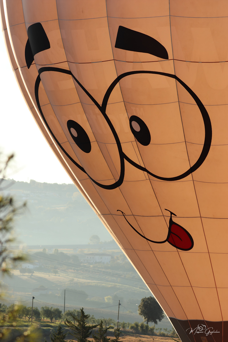 Il fascino del volo tra mille colori