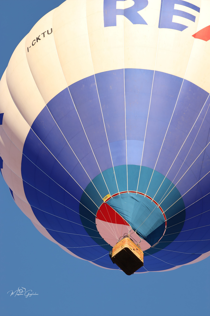 Il fascino del volo tra mille colori