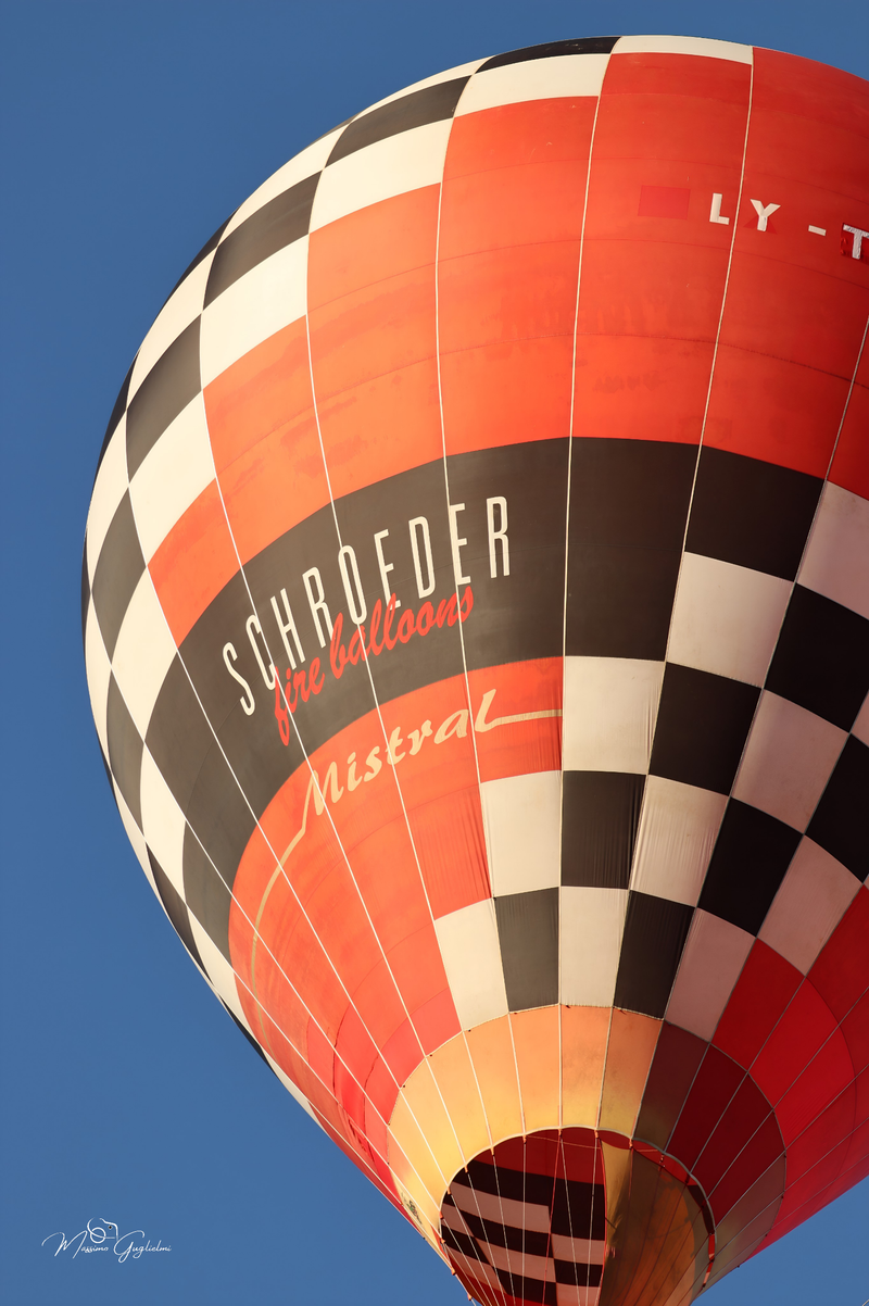 Il fascino del volo tra mille colori