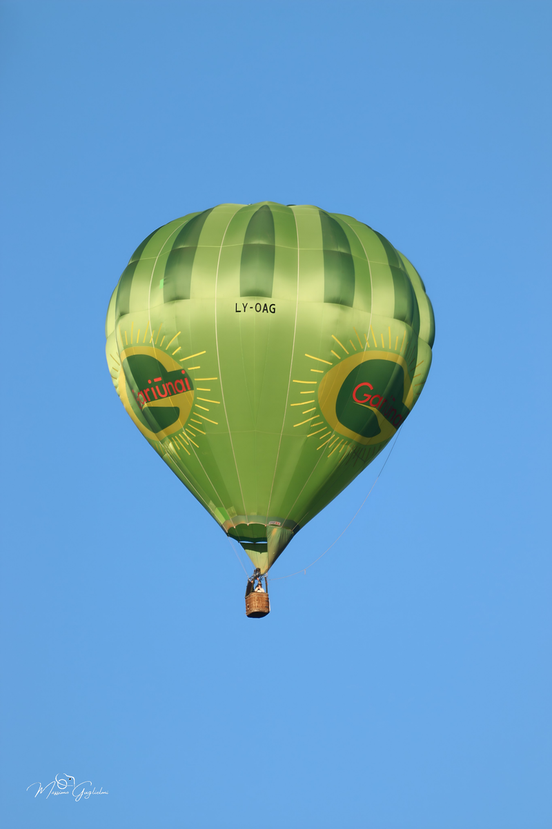 Il fascino del volo tra mille colori