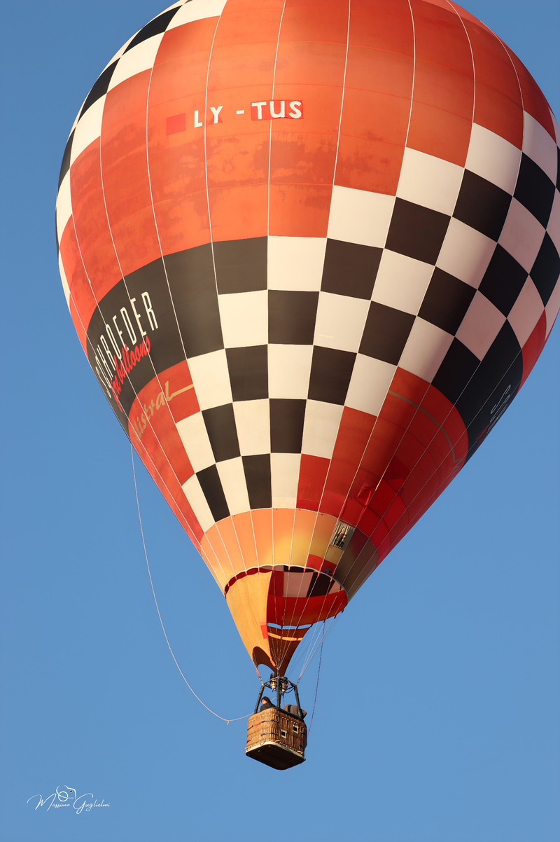 Il fascino del volo tra mille colori