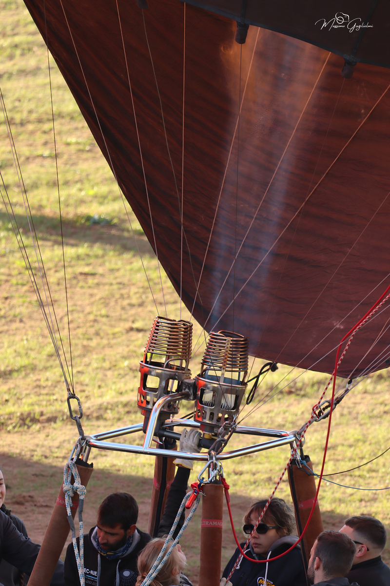 Il fascino del volo tra mille colori