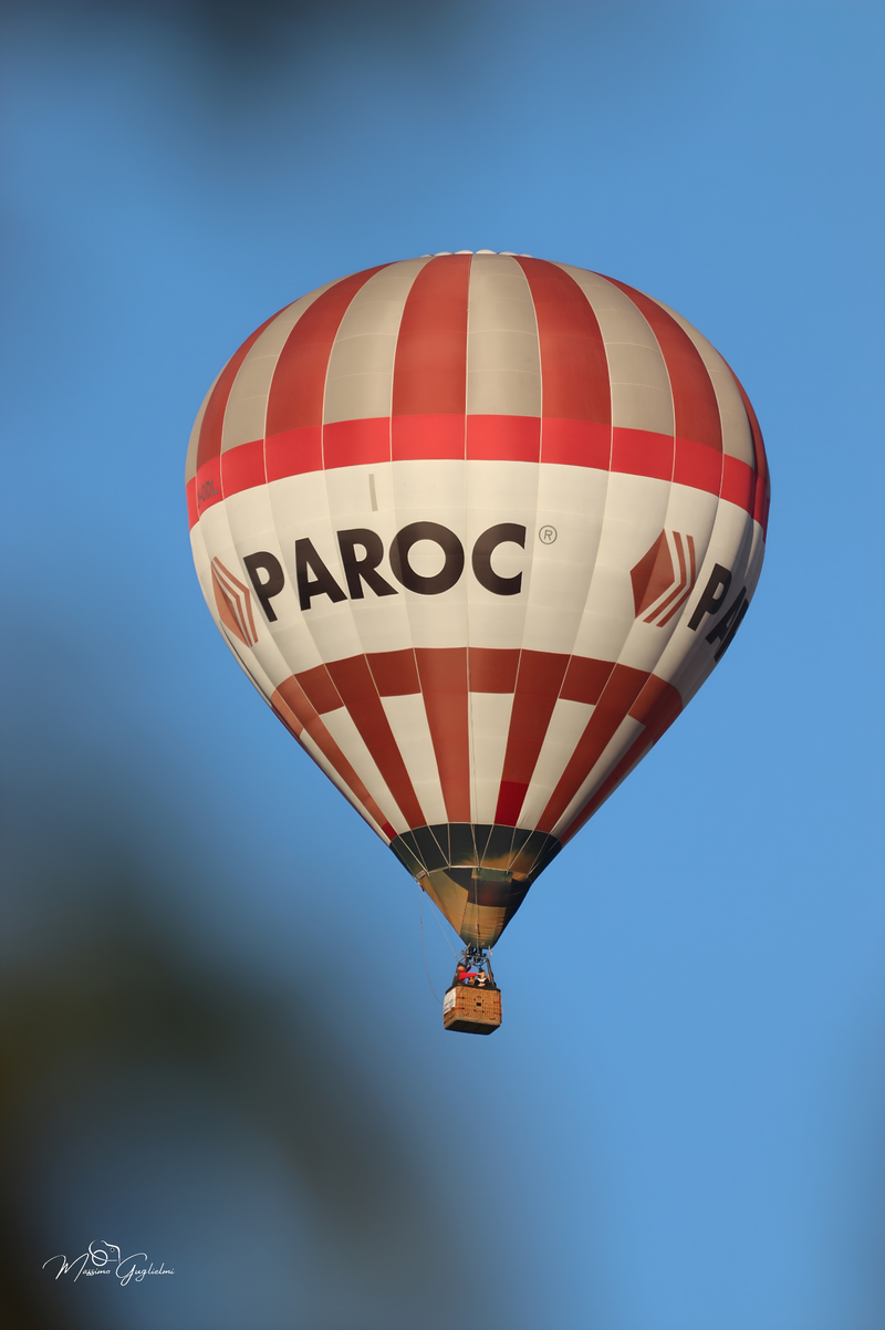 Il fascino del volo tra mille colori