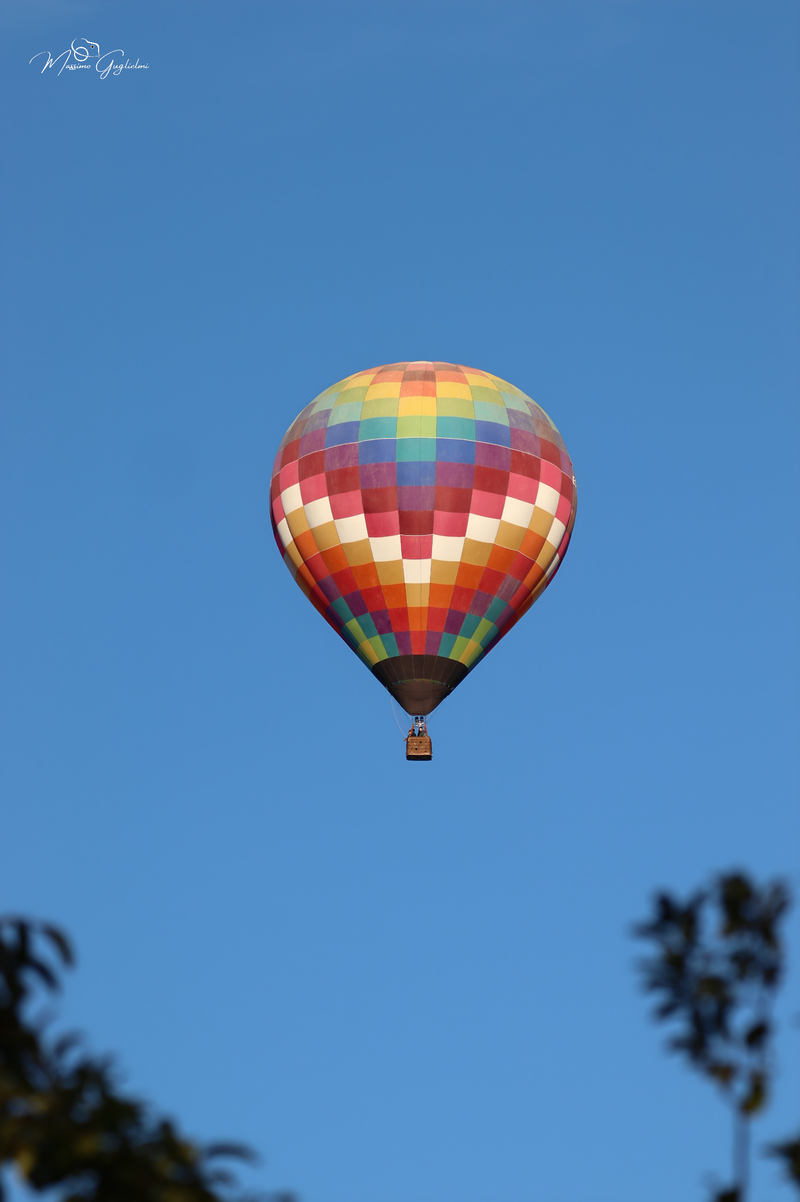 Il fascino del volo tra mille colori