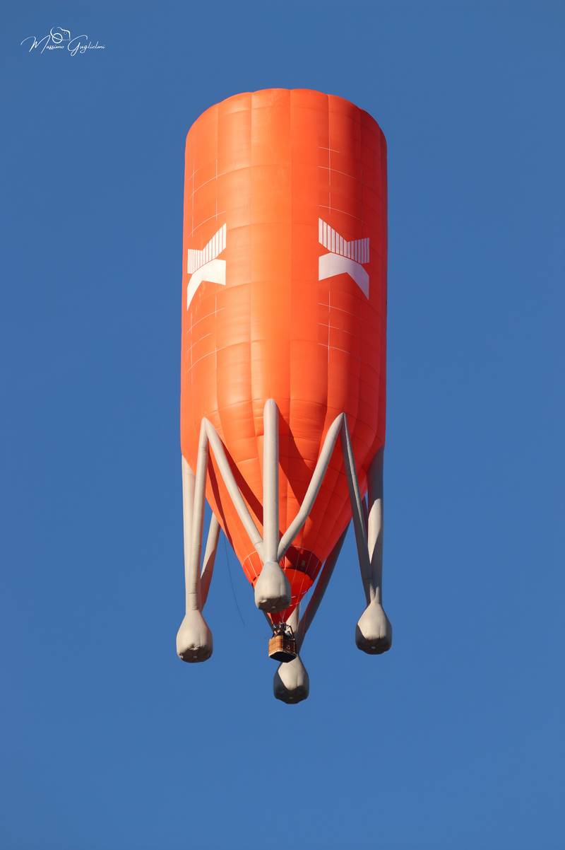 Il fascino del volo tra mille colori