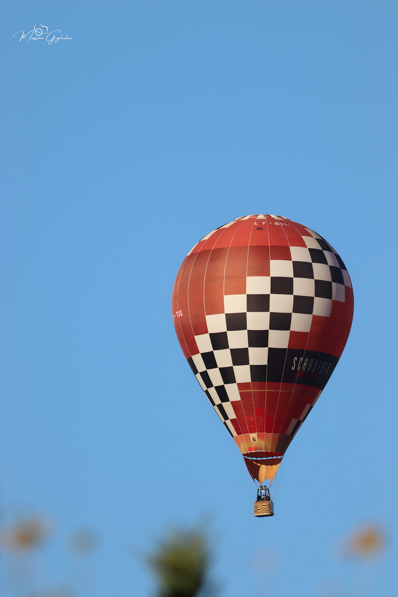 Il fascino del volo tra mille colori