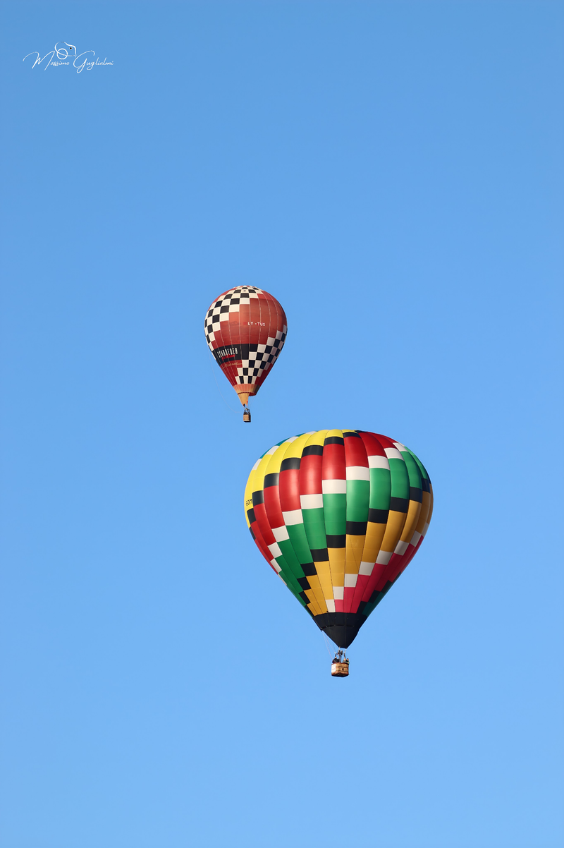 Il fascino del volo tra mille colori