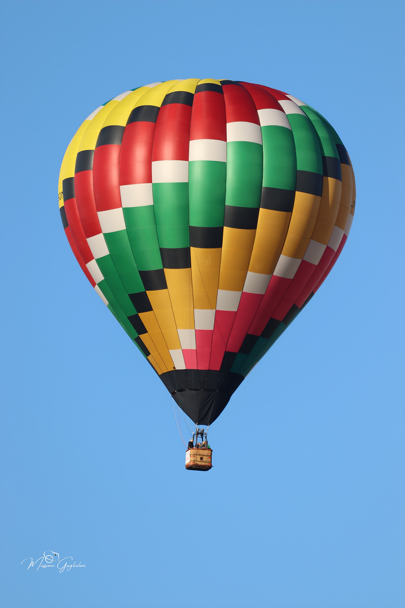 Il fascino del volo tra mille colori