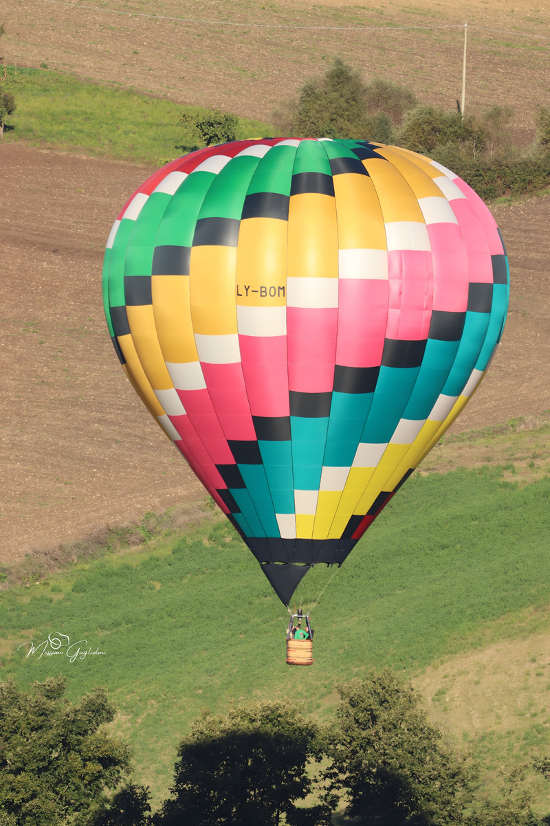 Il fascino del volo tra mille colori