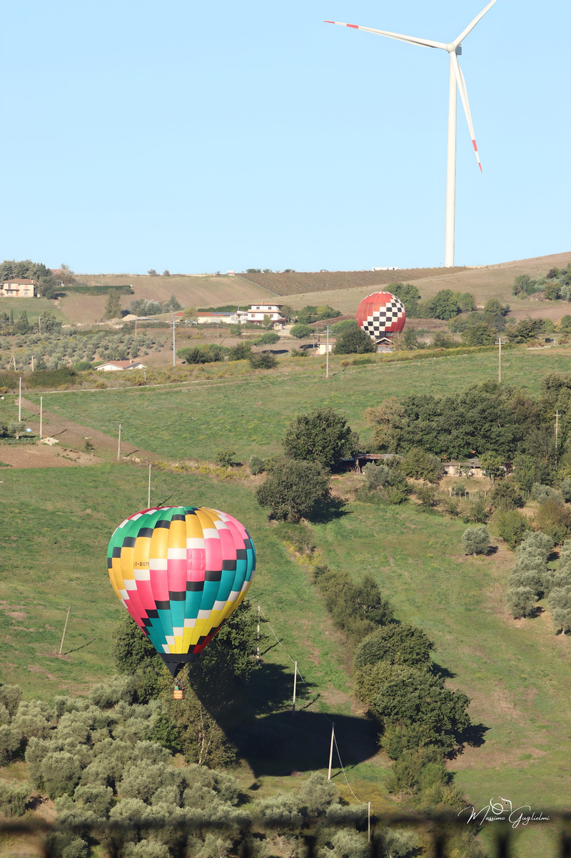 Il fascino del volo tra mille colori