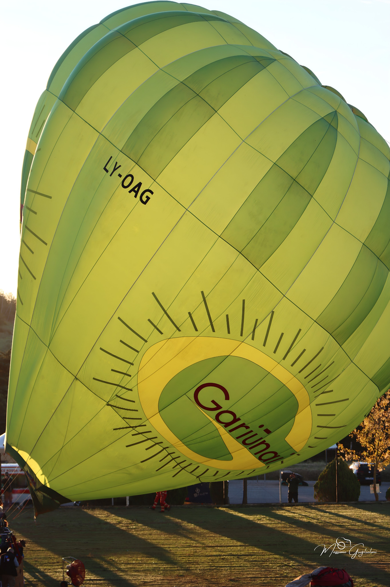 Il fascino del volo tra mille colori