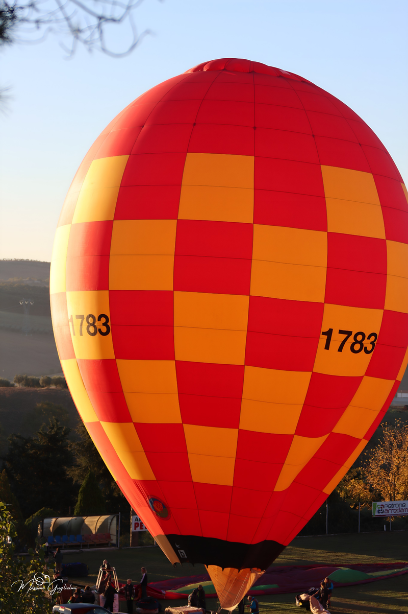Il fascino del volo tra mille colori