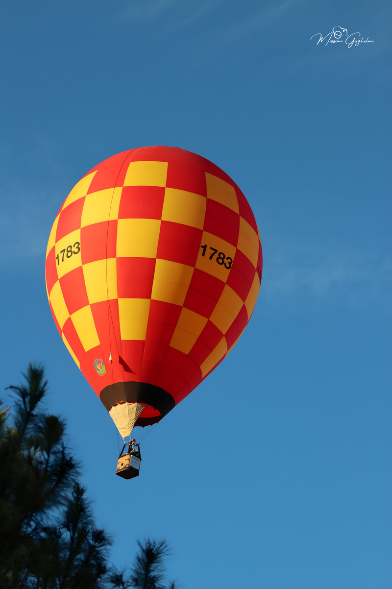 Il fascino del volo tra mille colori