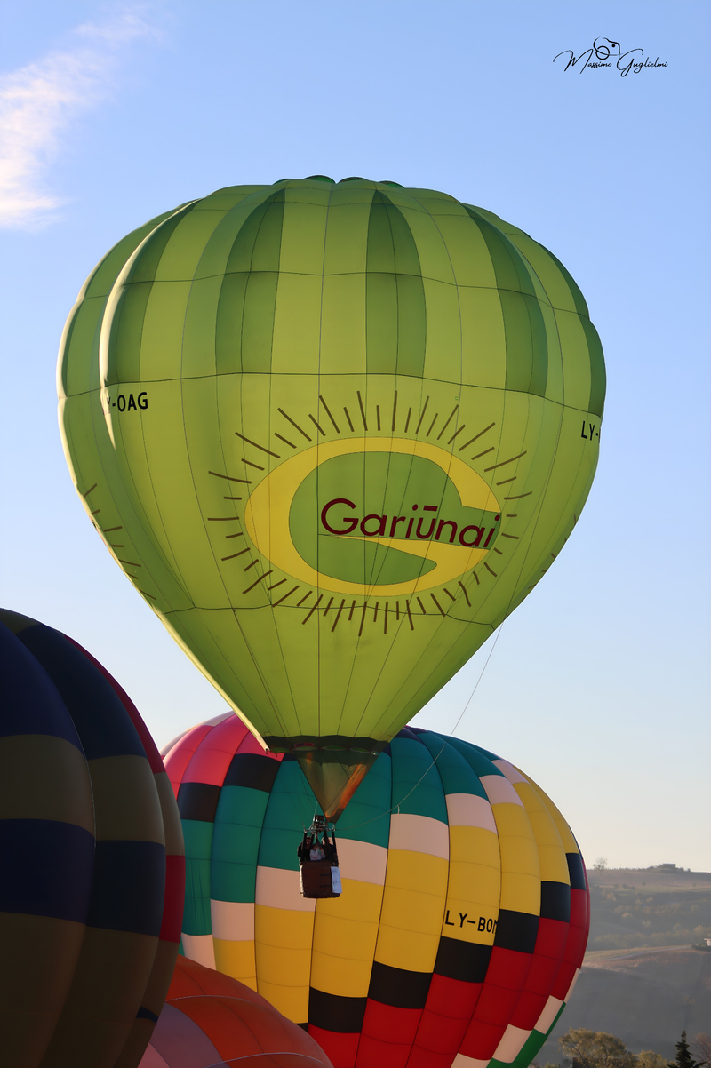 Il fascino del volo tra mille colori