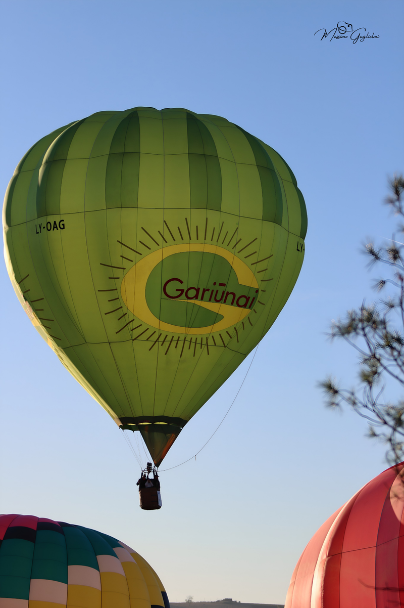 Il fascino del volo tra mille colori