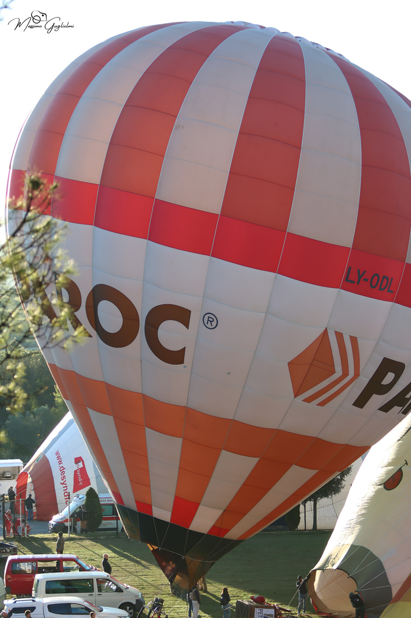 Il fascino del volo tra mille colori