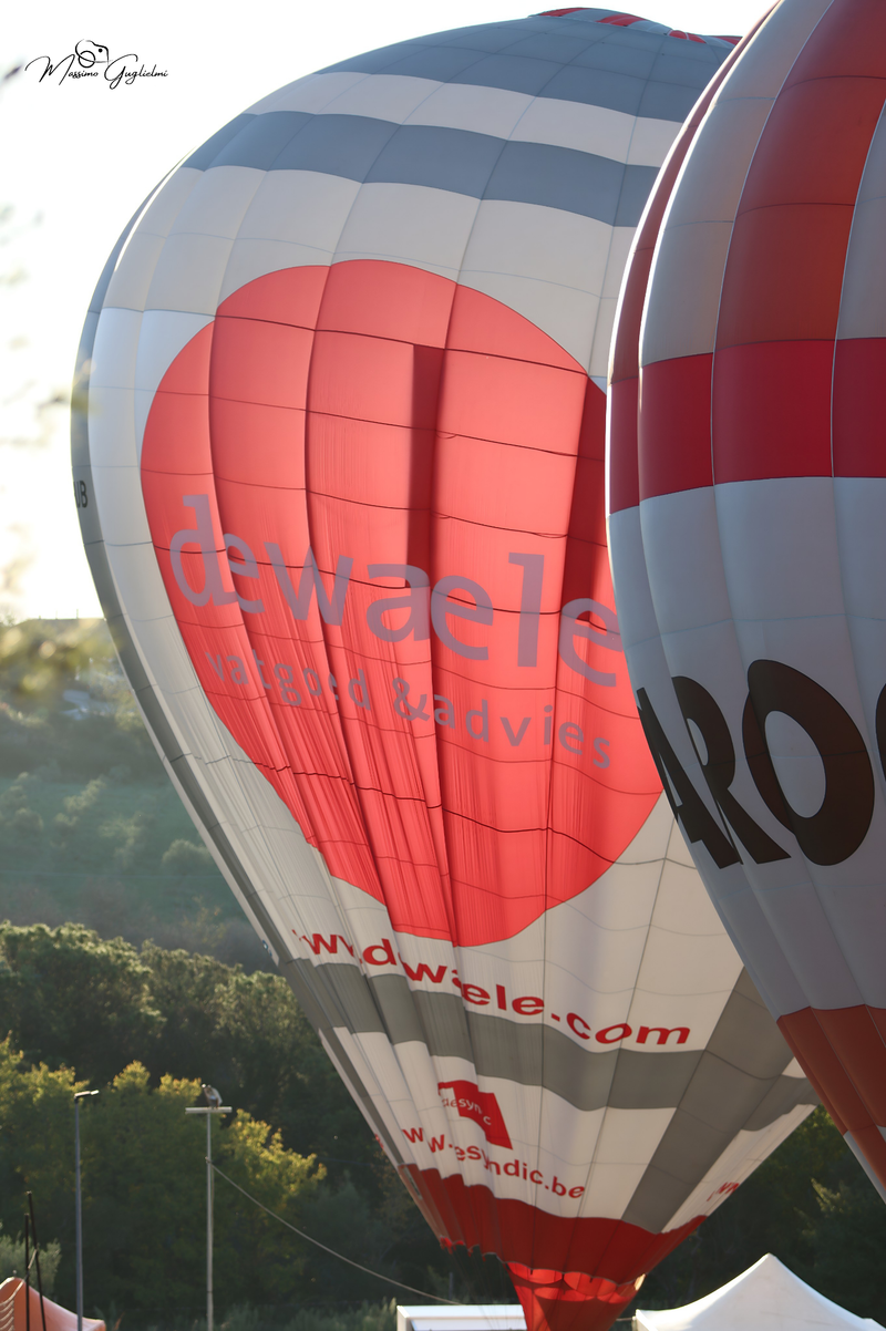 Il fascino del volo tra mille colori