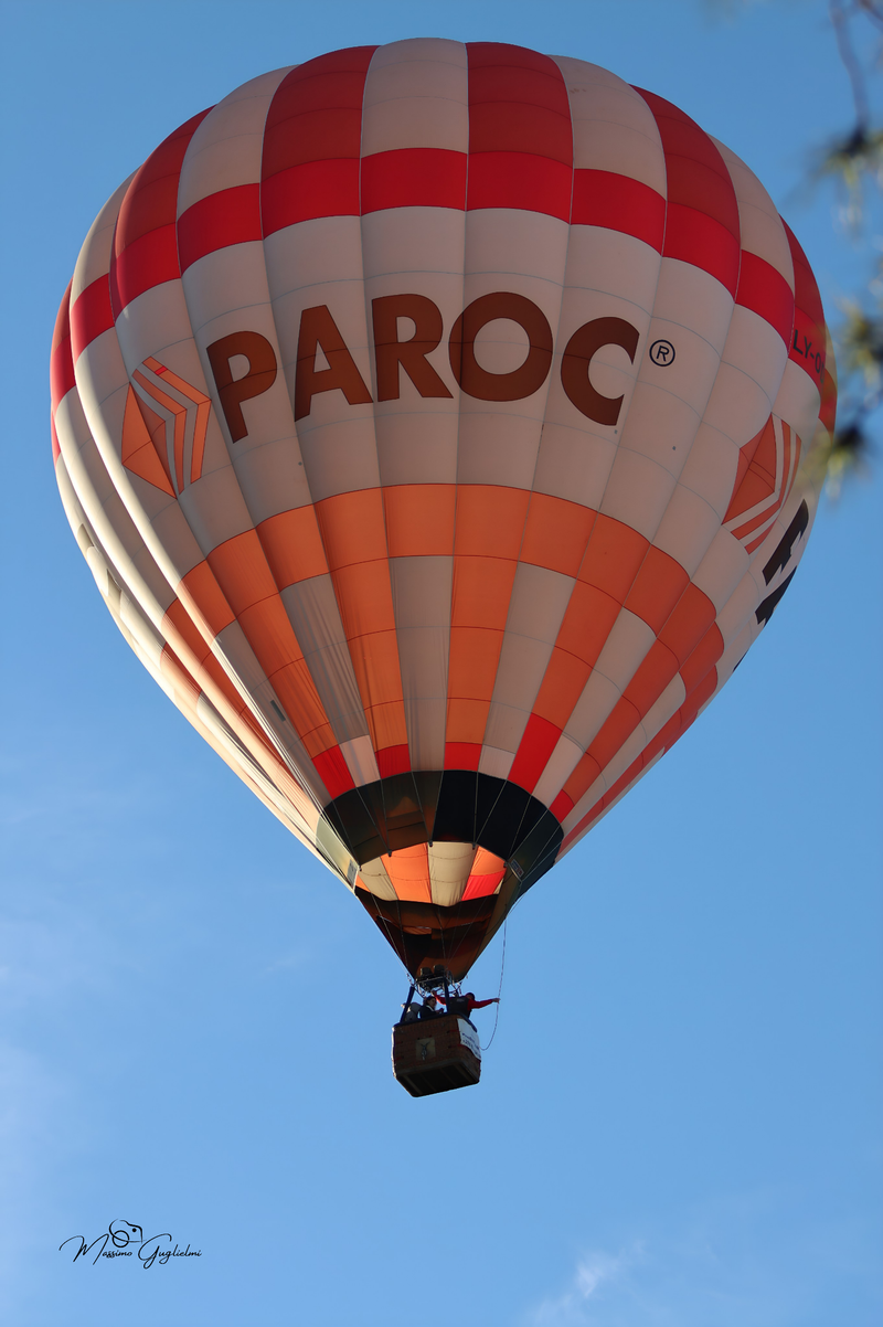 Il fascino del volo tra mille colori