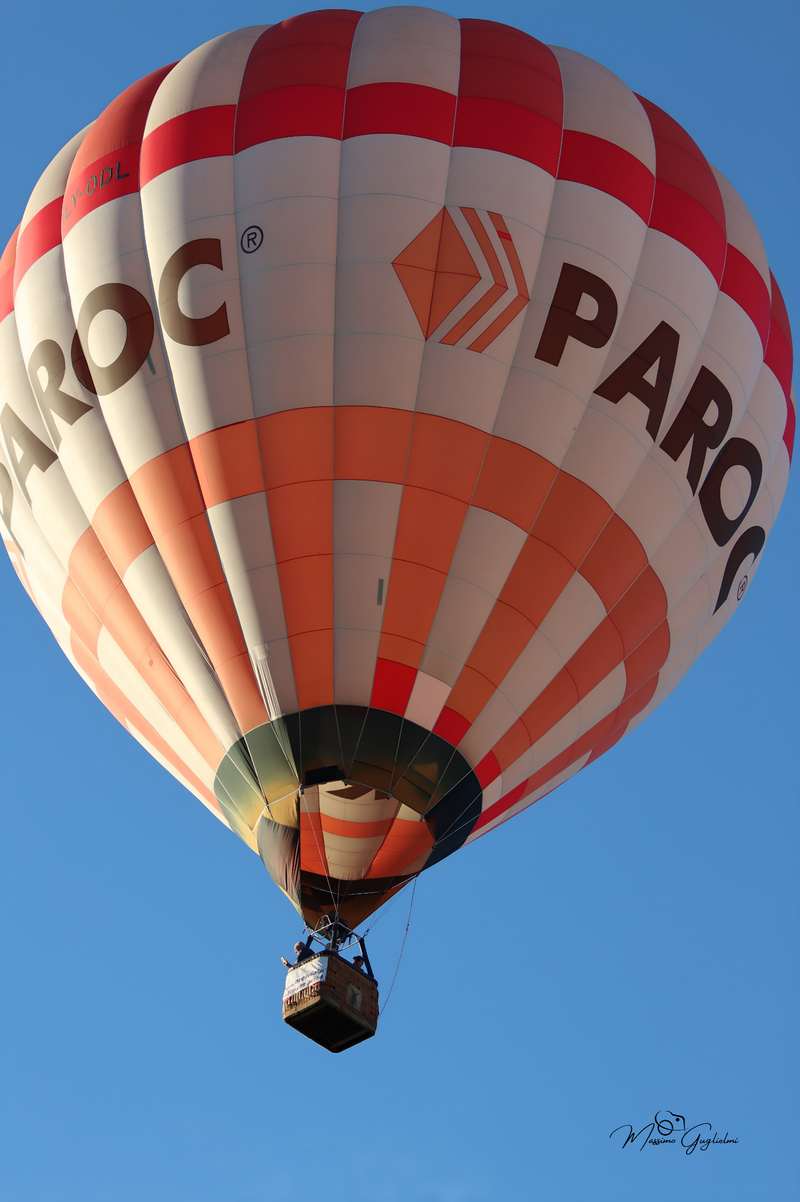 Il fascino del volo tra mille colori