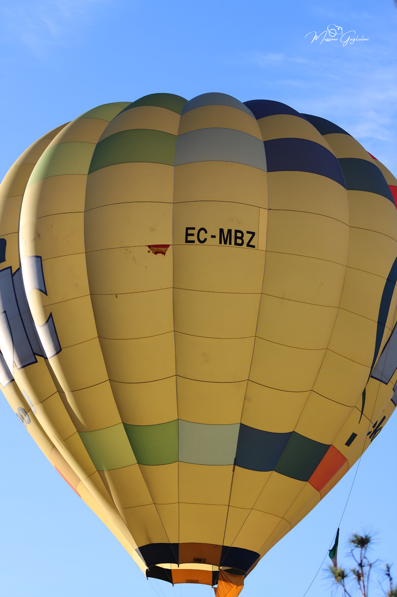 Il fascino del volo tra mille colori