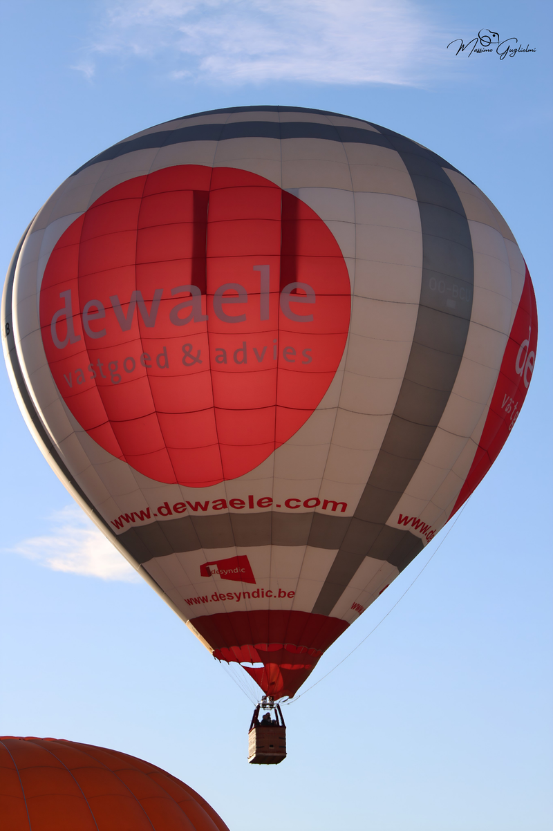 Il fascino del volo tra mille colori