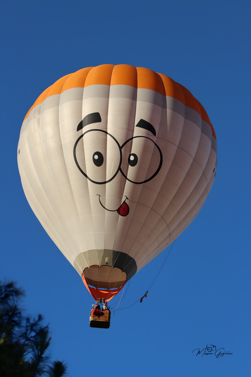 Il fascino del volo tra mille colori