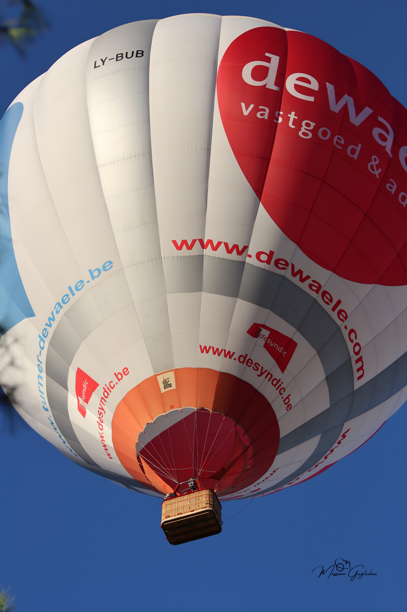 Il fascino del volo tra mille colori