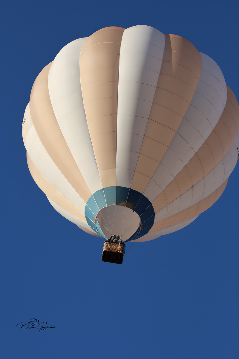 Il fascino del volo tra mille colori