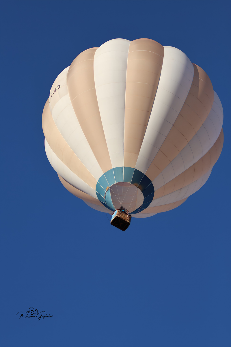 Il fascino del volo tra mille colori