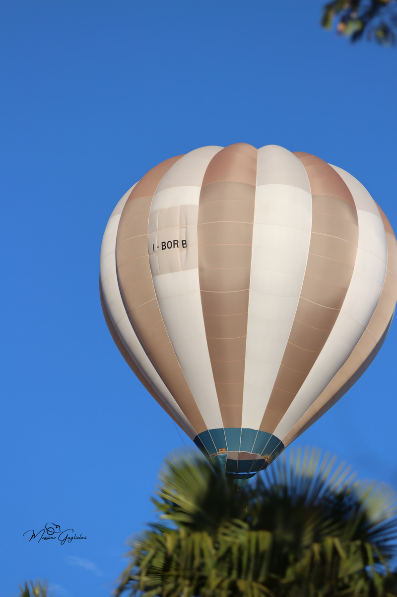 Il fascino del volo tra mille colori