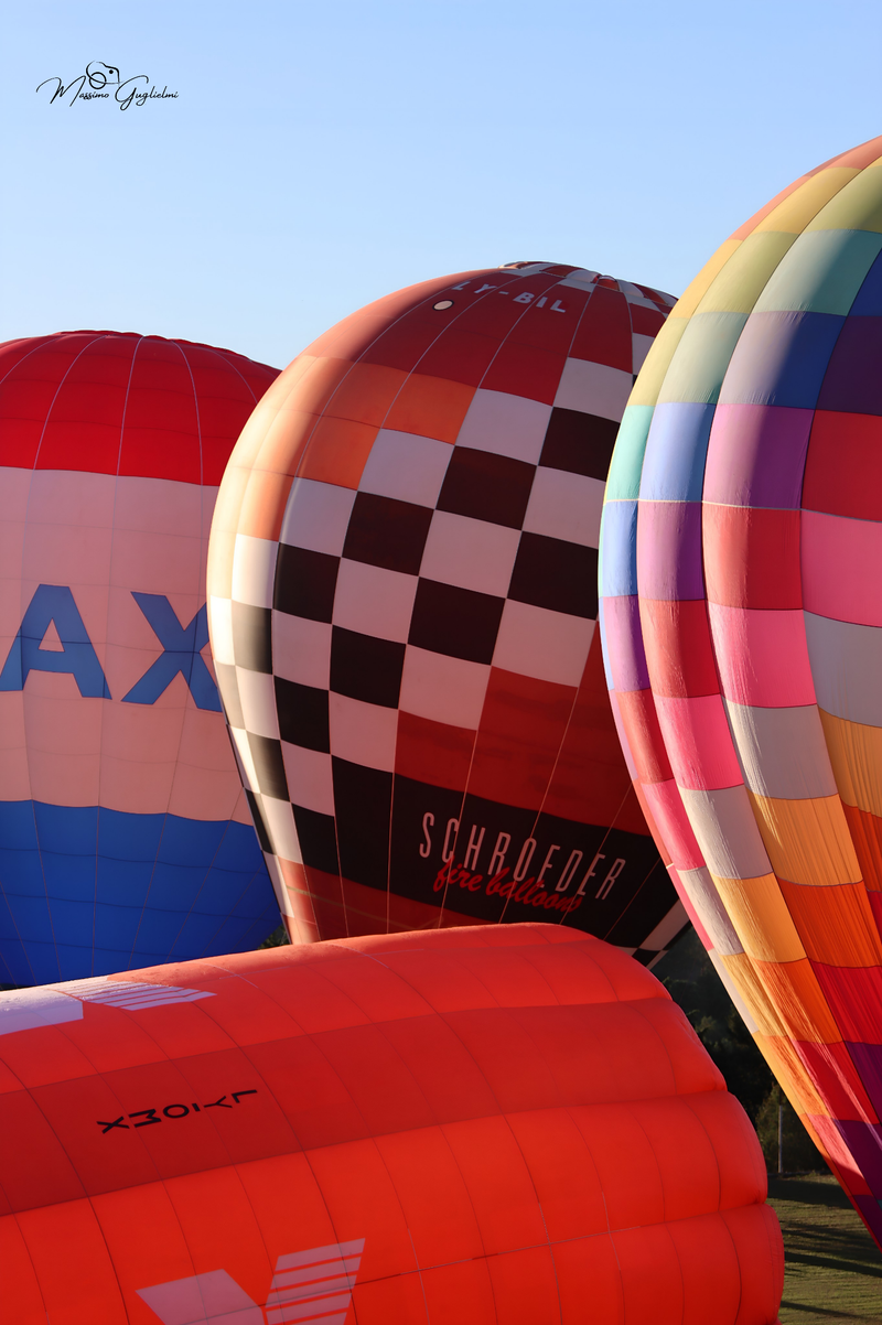 Il fascino del volo tra mille colori