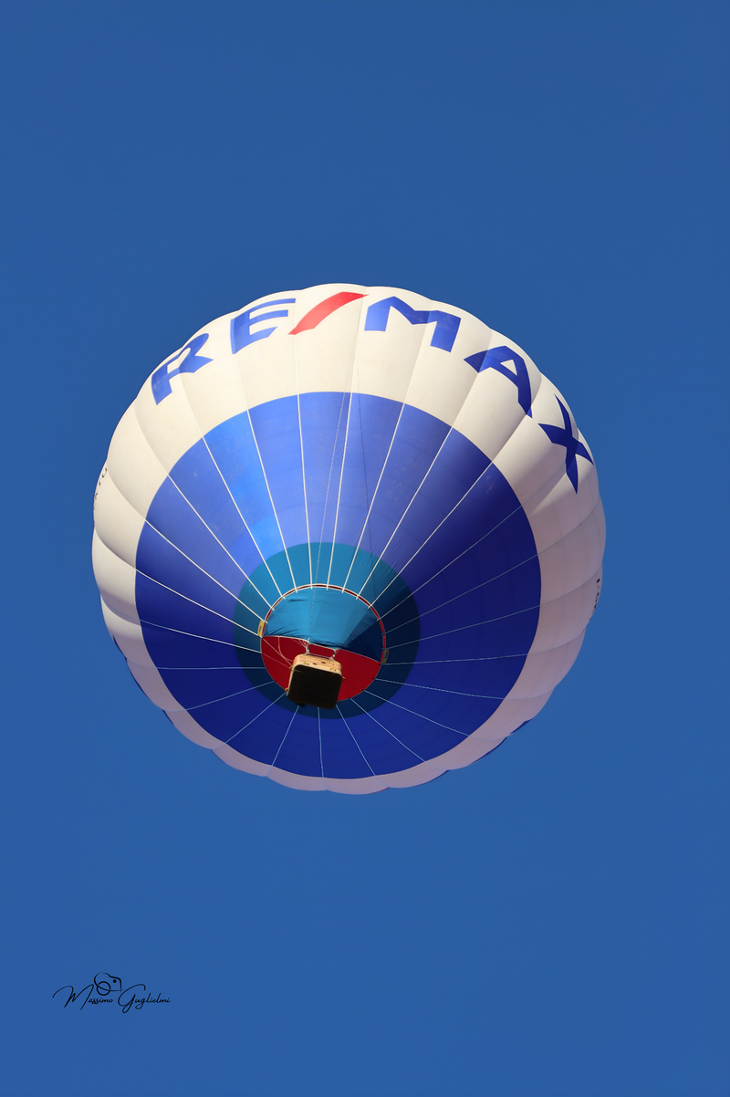 Il fascino del volo tra mille colori